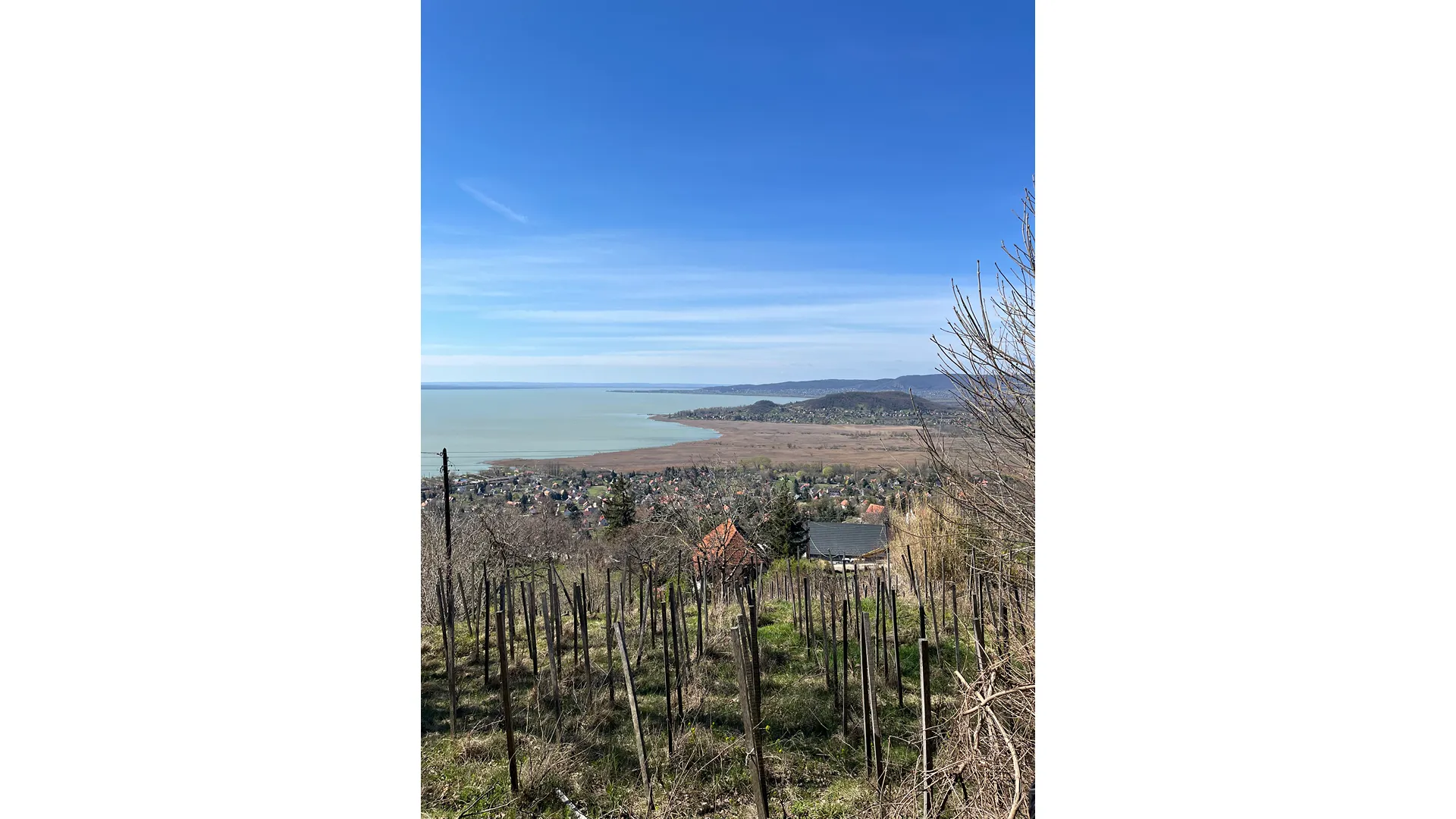 Badacsonyi kör