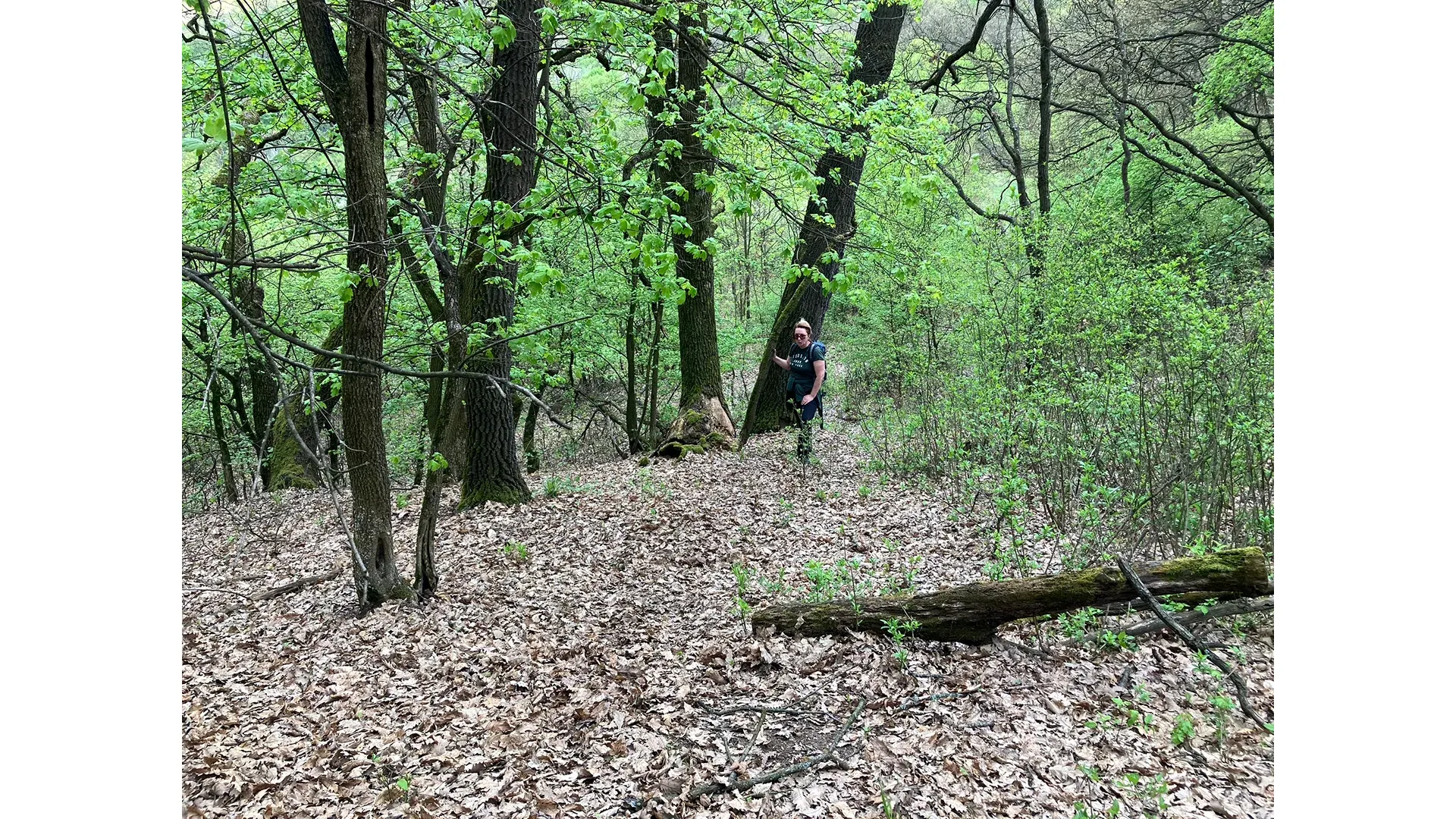 Lázbérci-víztározó