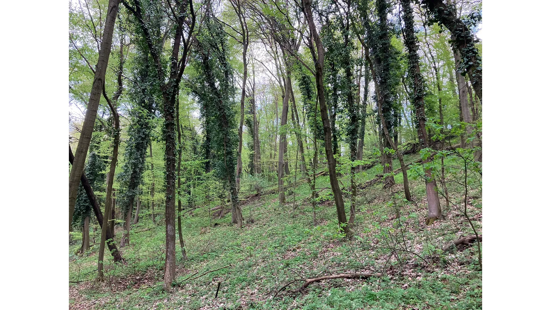 Lázbérci-víztározó