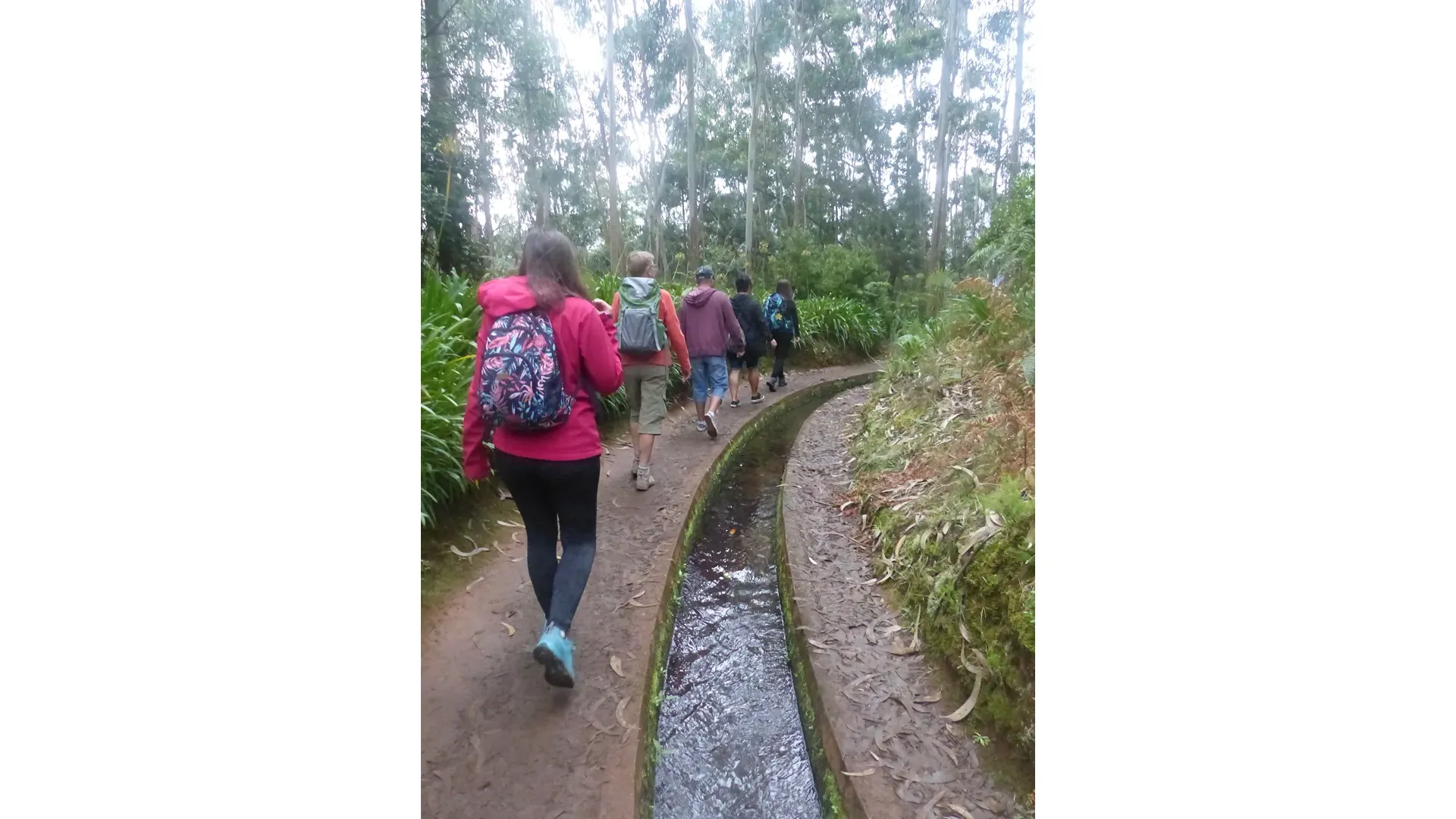 Madeira - Hidden Corners / Levada do Rei