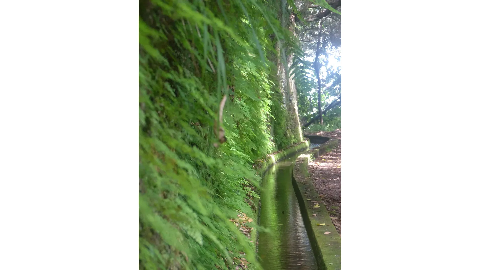 Madeira - Hidden Corners / Levada do Rei