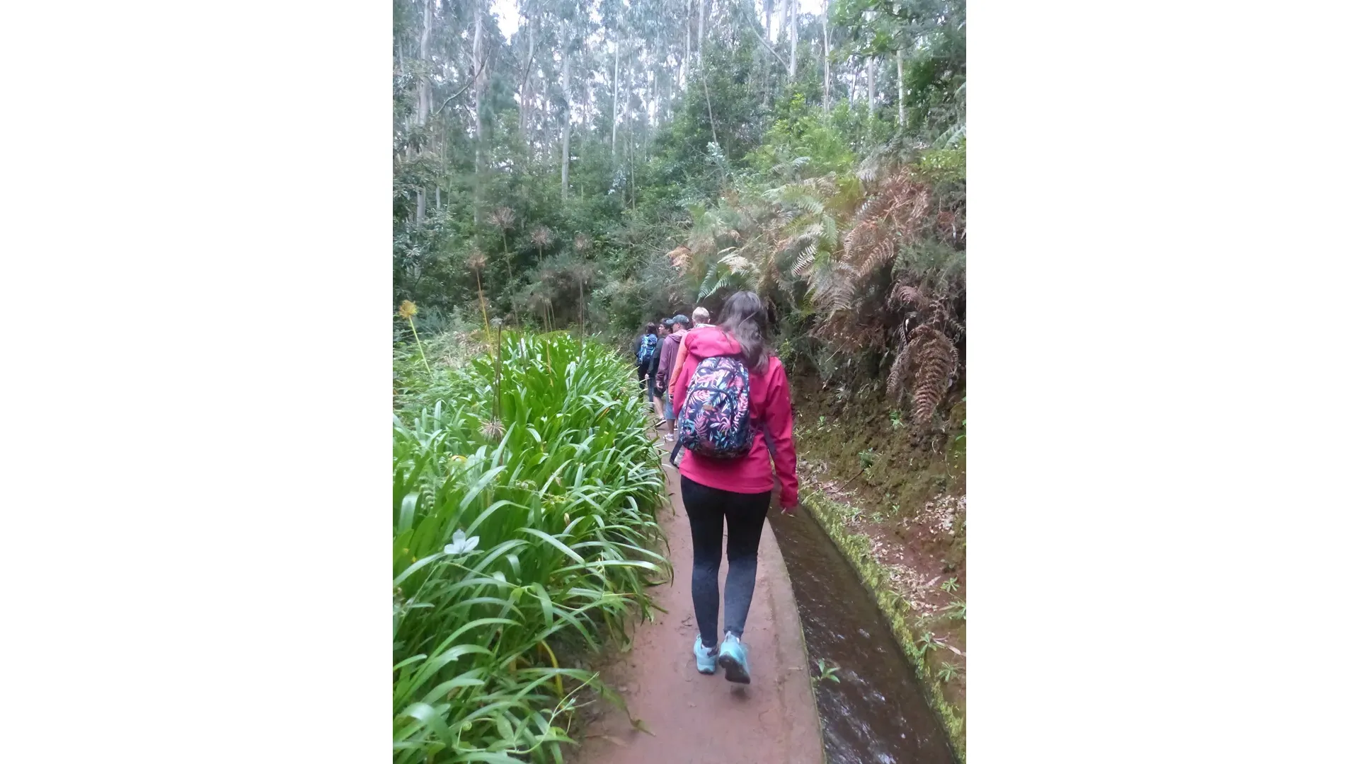 Madeira - Hidden Corners / Levada do Rei