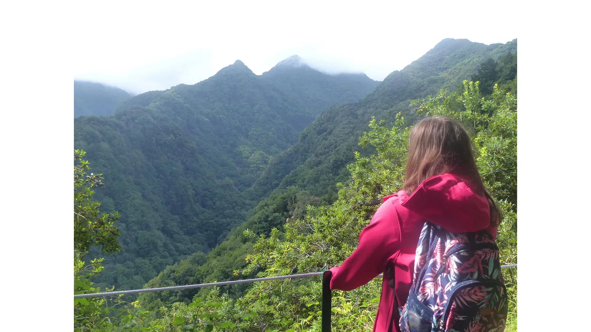 Madeira - Hidden Corners / Levada do Rei