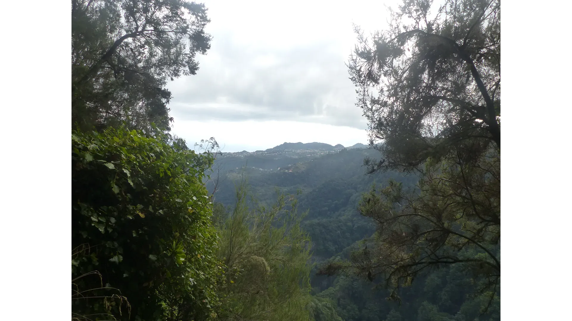 Madeira - Hidden Corners / Levada do Rei