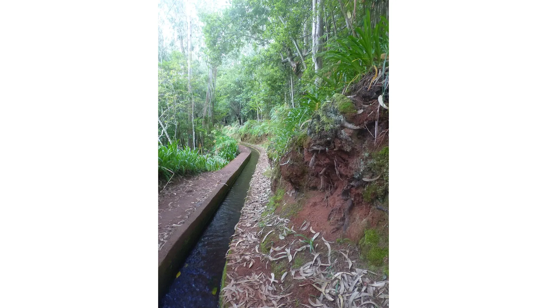 Madeira - Hidden Corners / Levada do Rei