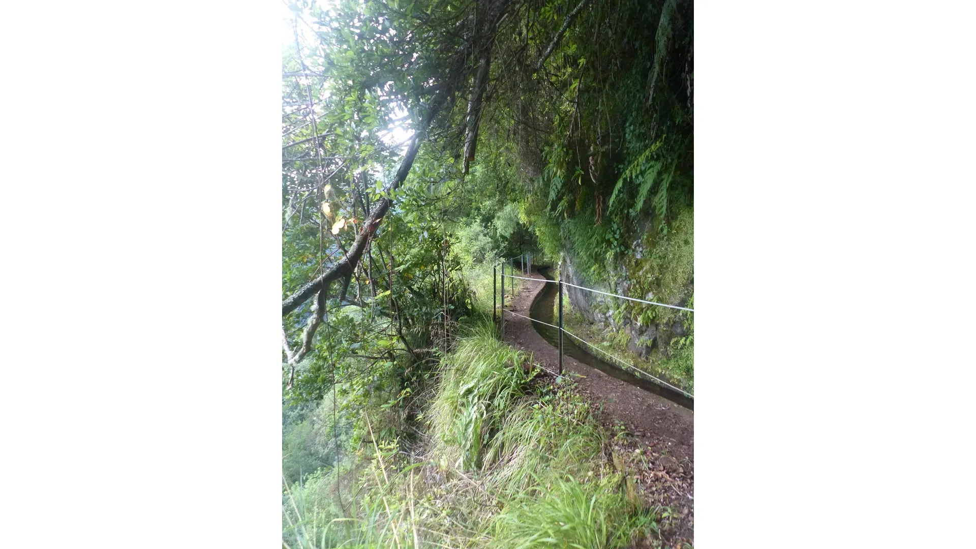 Madeira - Hidden Corners / Levada do Rei
